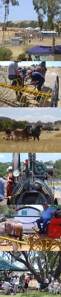 Avondale Harvest Festival 2010 | Boshack Outback